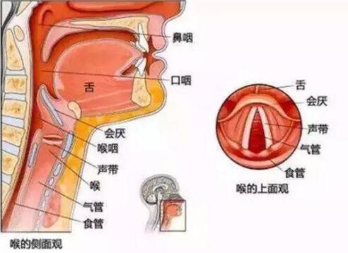 第3张图片