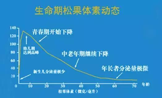 第16张图片